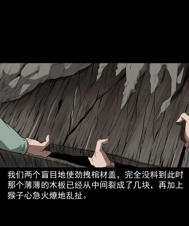 341 本命年撞煞 第47页