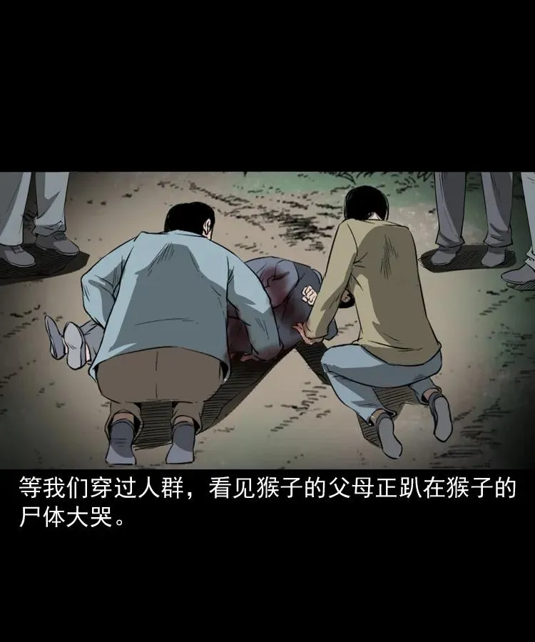 341 本命年撞煞 第91页