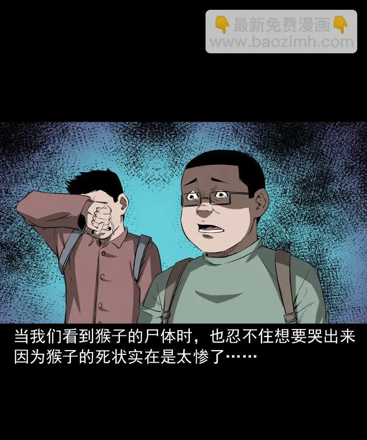 341 本命年撞煞 第92页