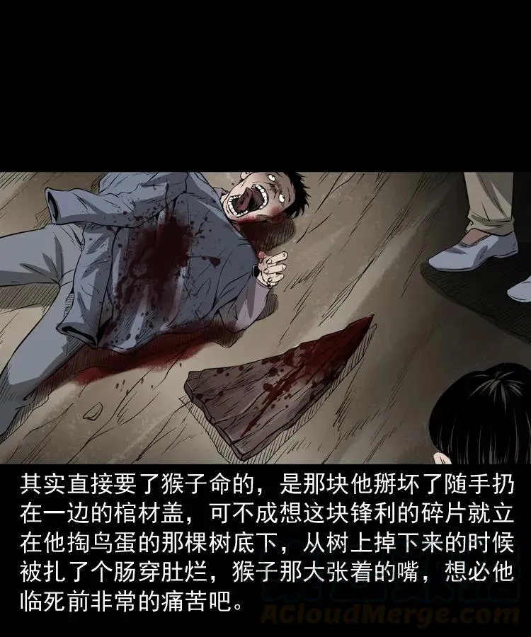 341 本命年撞煞 第93页