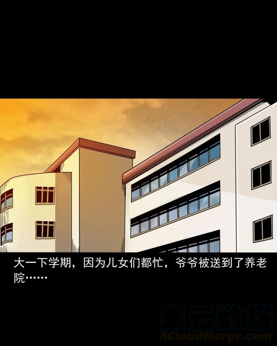 402 爷孙情 第5页