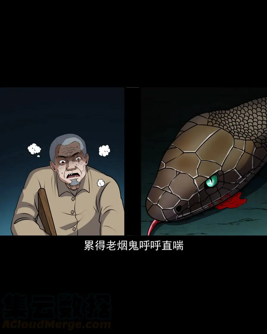 403 老烟鬼40 第61页