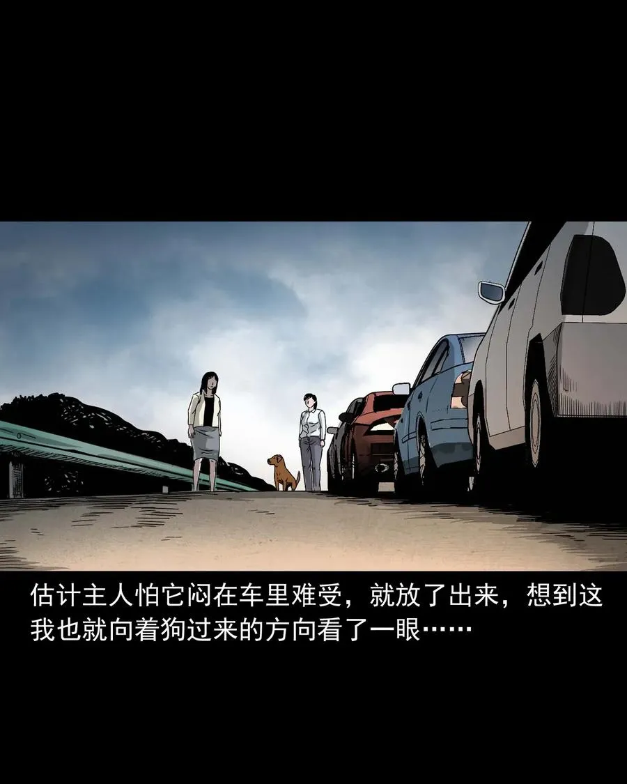 412 找狗人 第18页