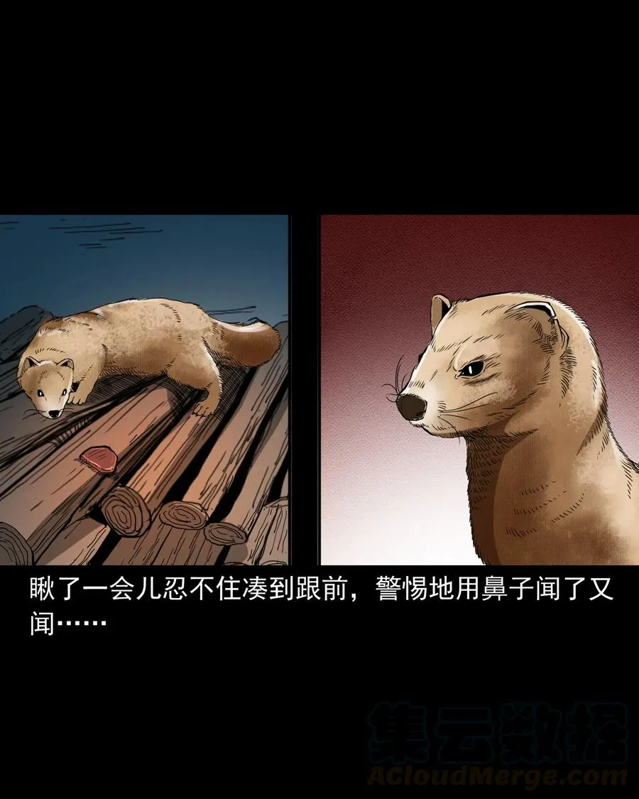 442 黄大仙 第13页