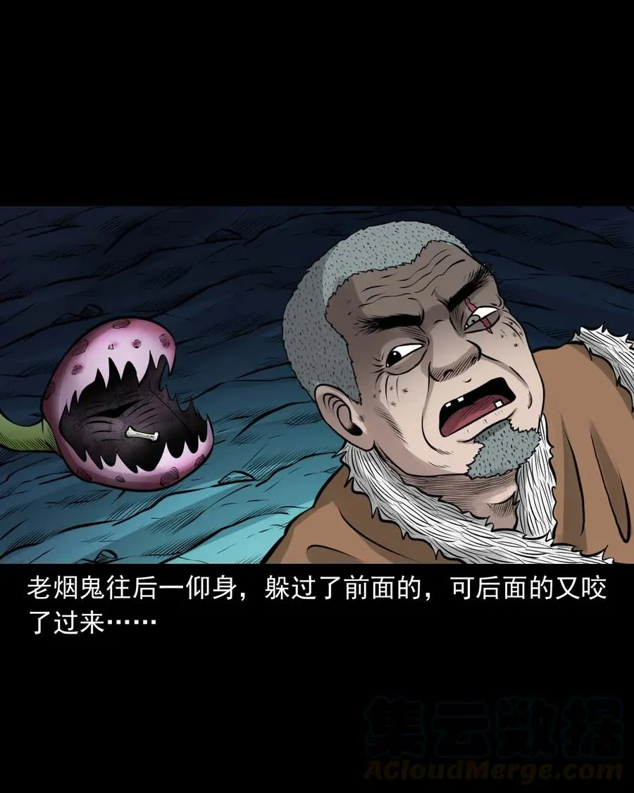 494 老烟鬼85 第13页