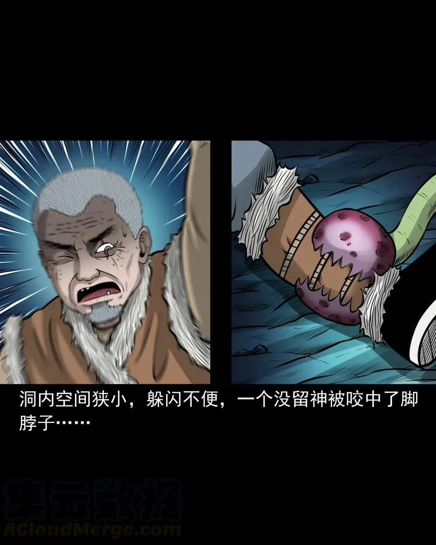 494 老烟鬼85 第16页