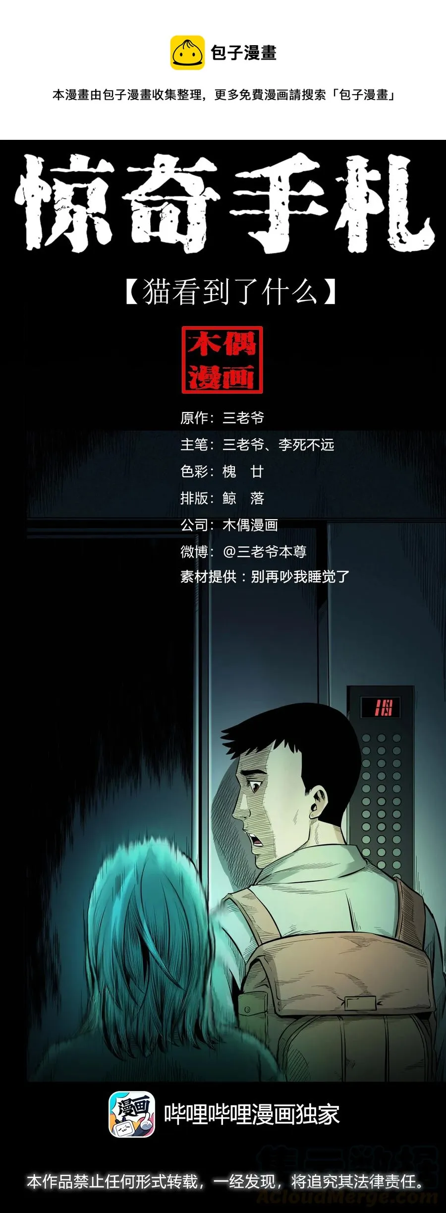 511 猫看见了什么 第1页