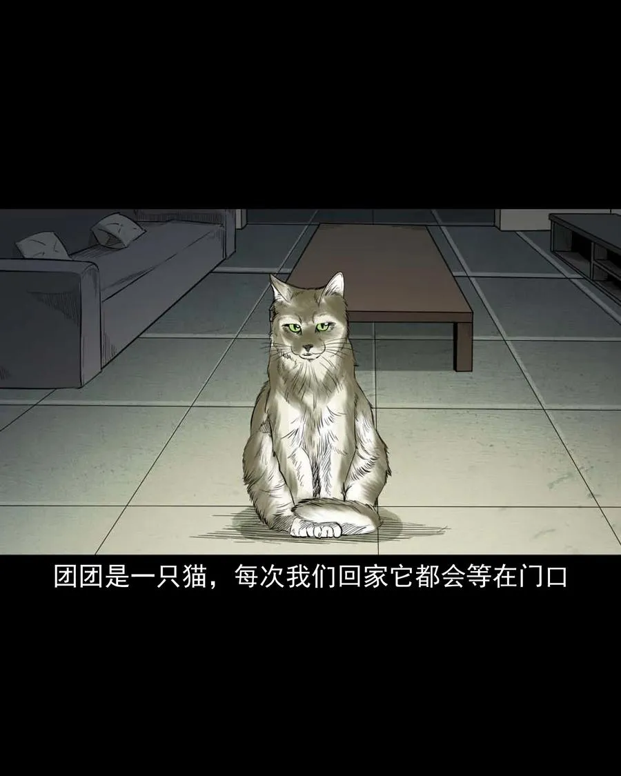 511 猫看见了什么 第6页