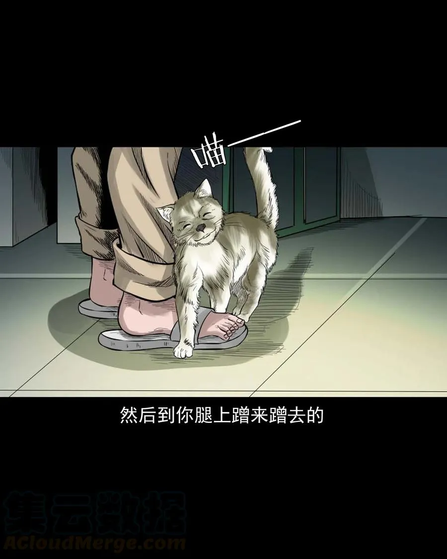 511 猫看见了什么 第7页