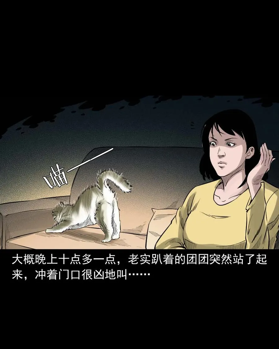 511 猫看见了什么 第11页