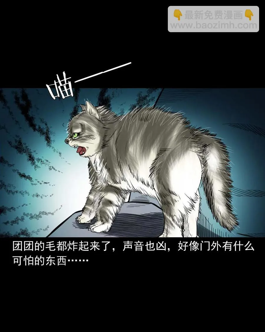 511 猫看见了什么 第14页