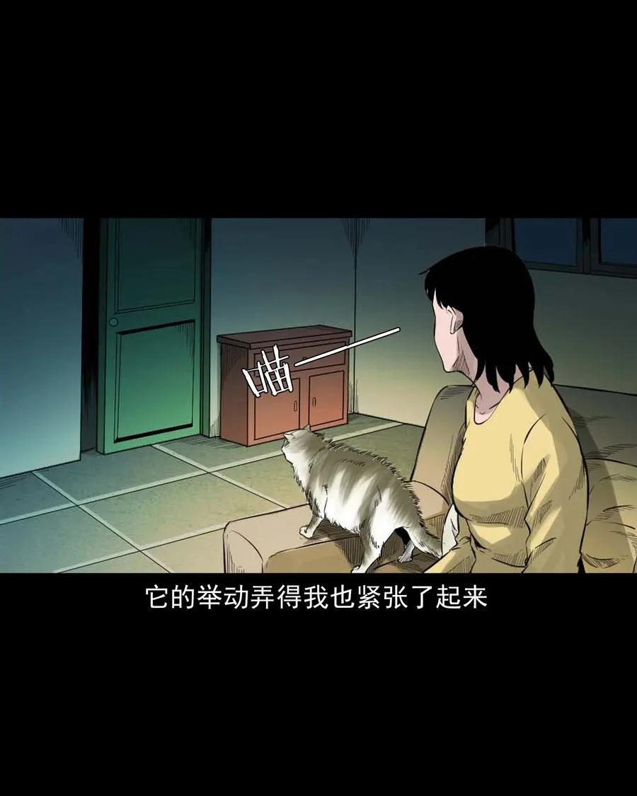 511 猫看见了什么 第15页