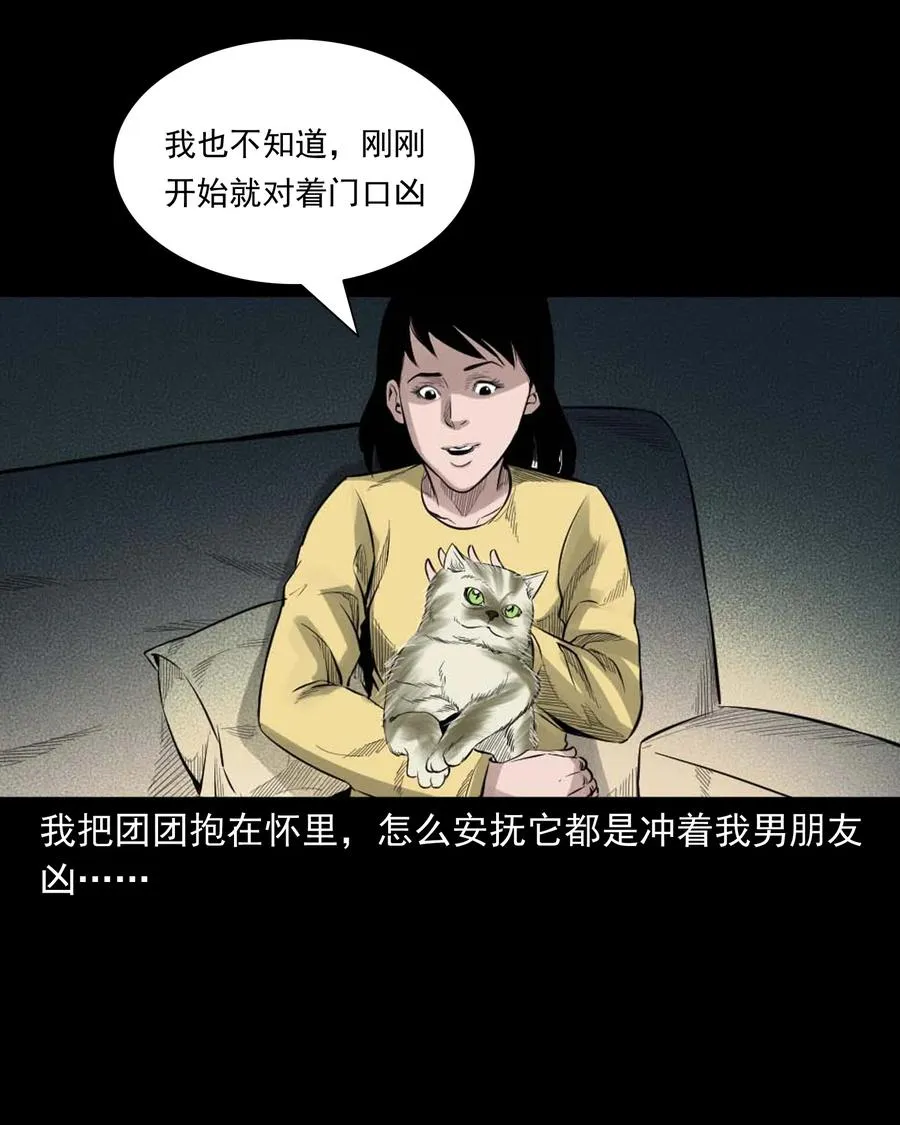 511 猫看见了什么 第18页