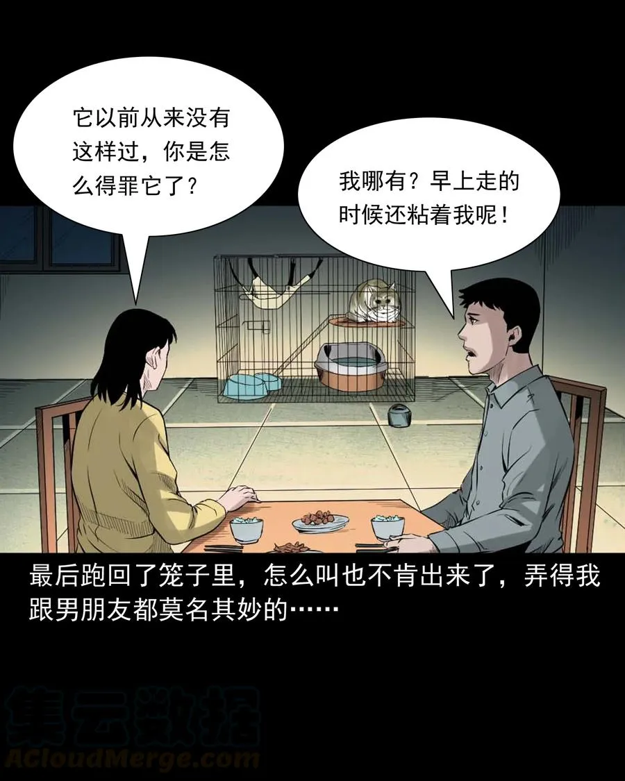 511 猫看见了什么 第19页