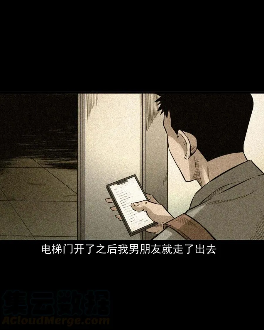 511 猫看见了什么 第28页