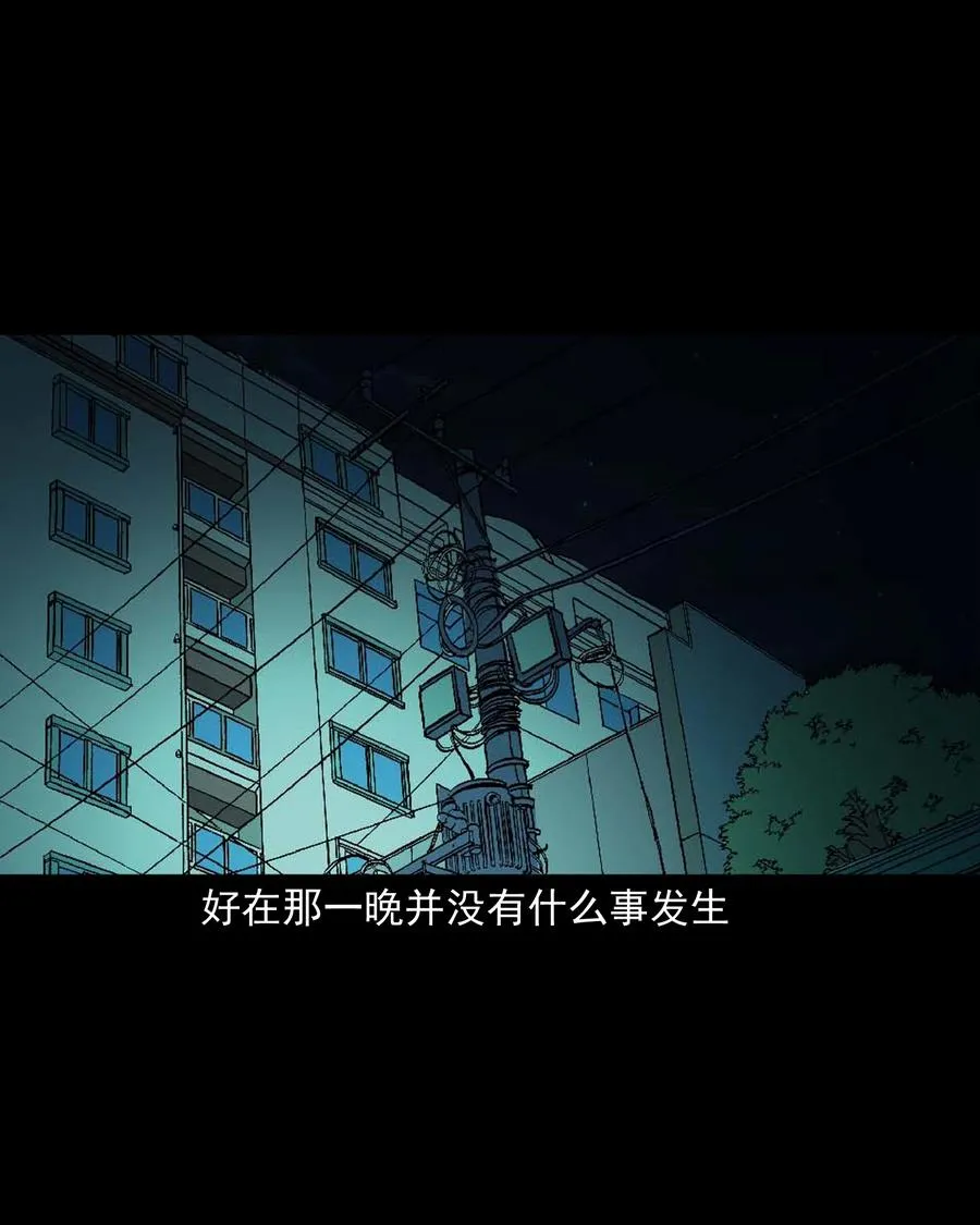 511 猫看见了什么 第38页
