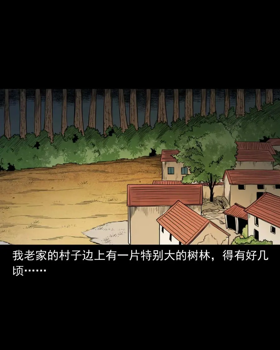 513 恐怖丛林 第2页