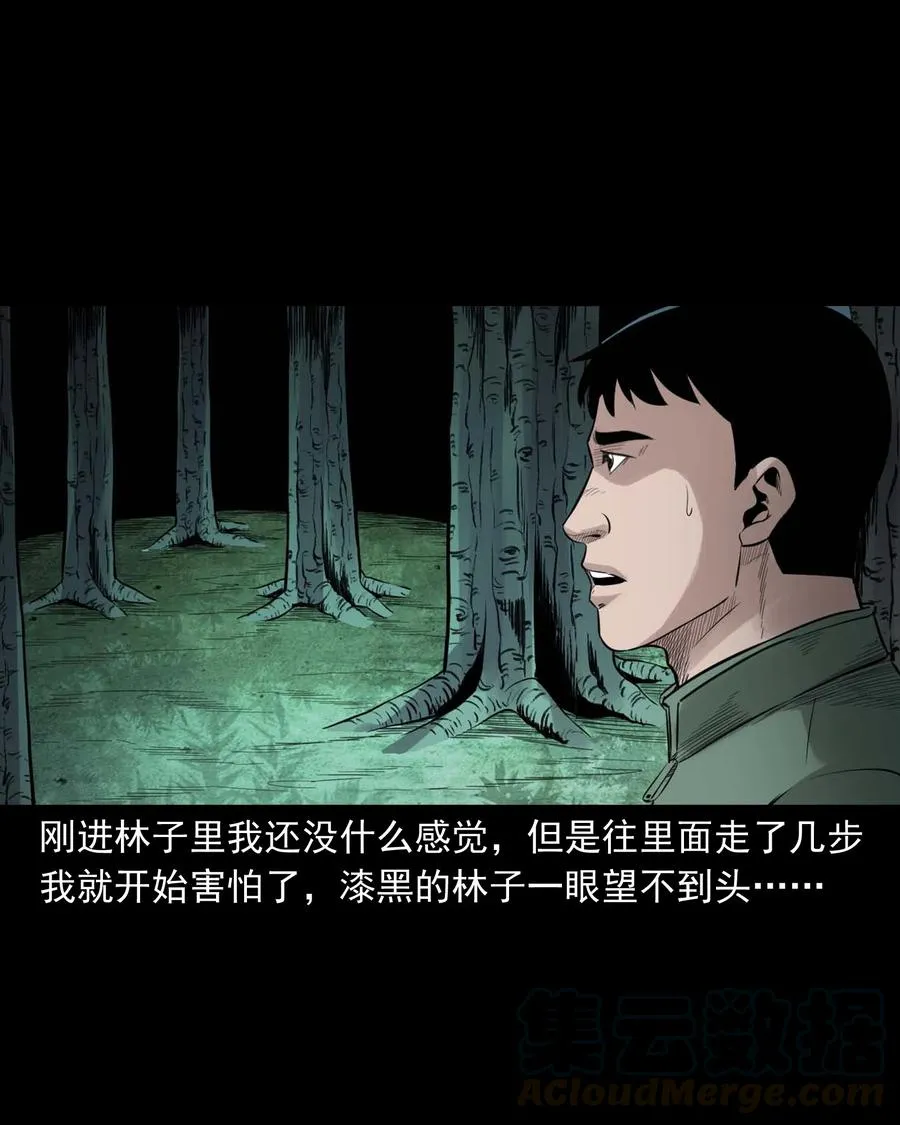 513 恐怖丛林 第28页