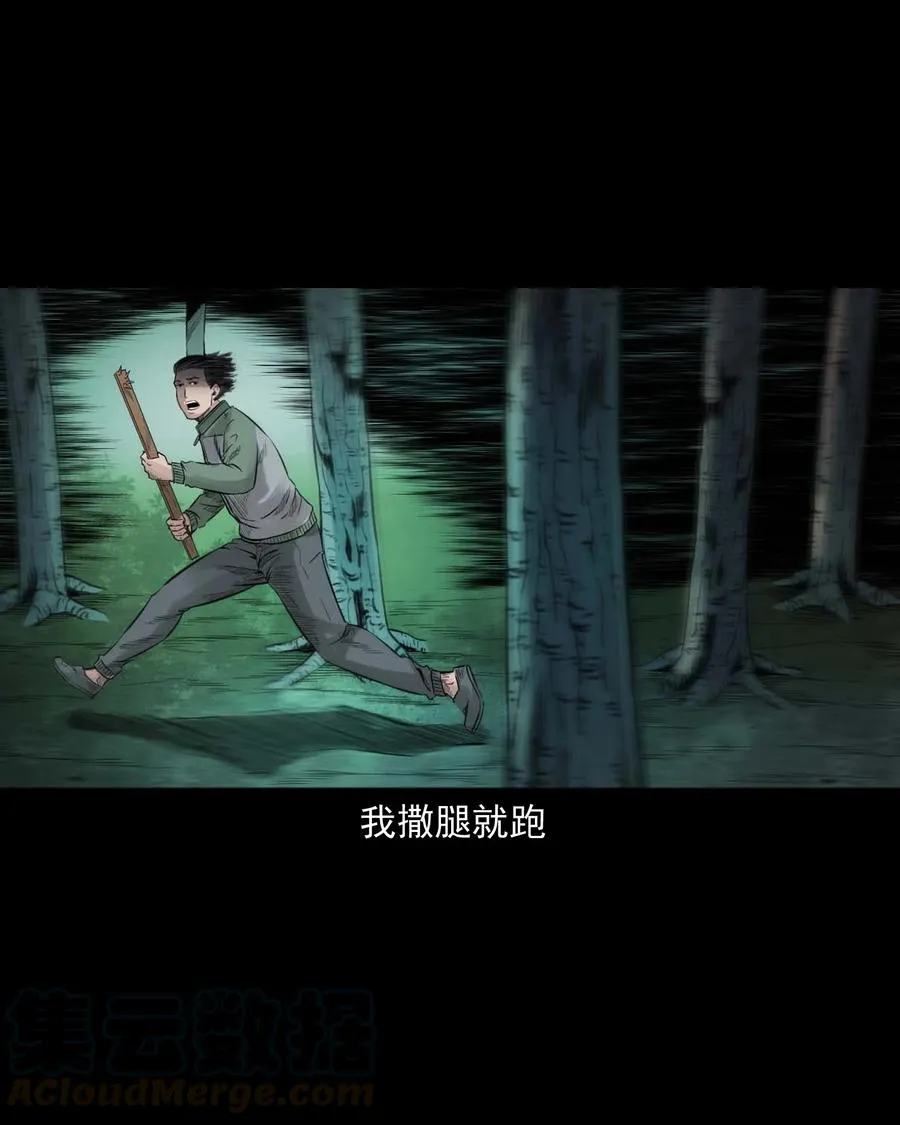 513 恐怖丛林 第43页