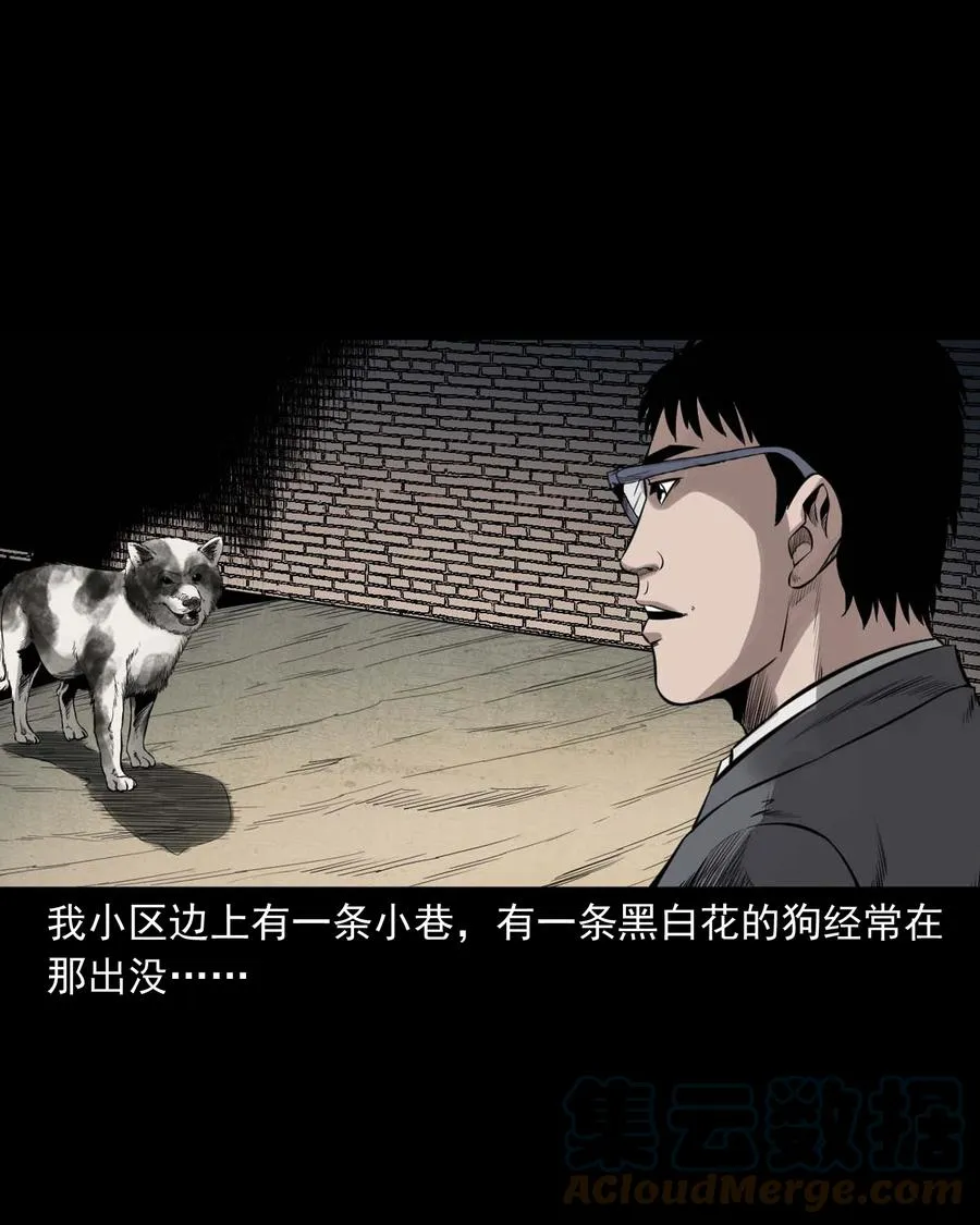 539 犬灵 第7页