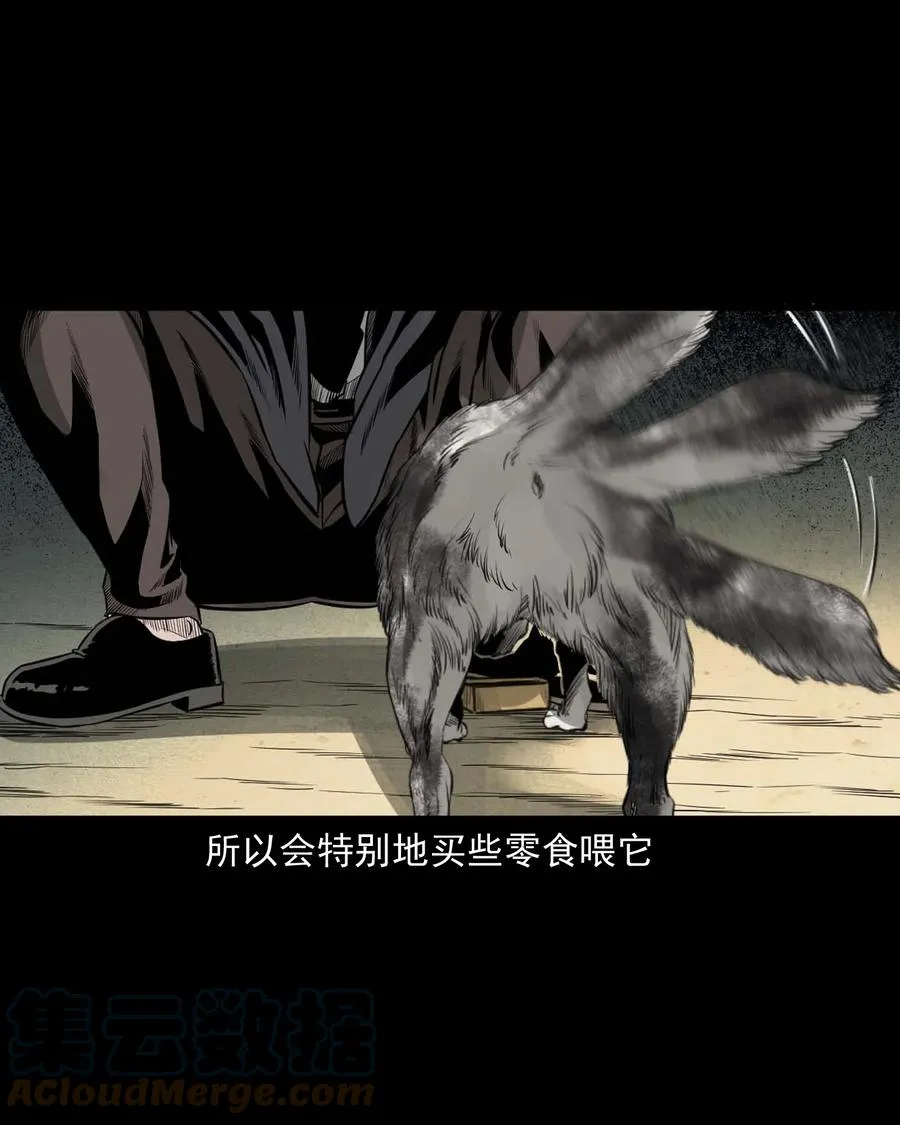 539 犬灵 第9页