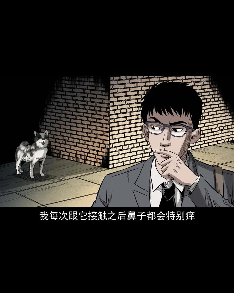 539 犬灵 第12页