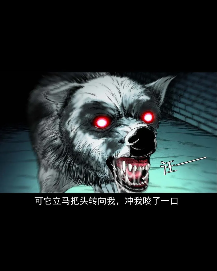 539 犬灵 第26页