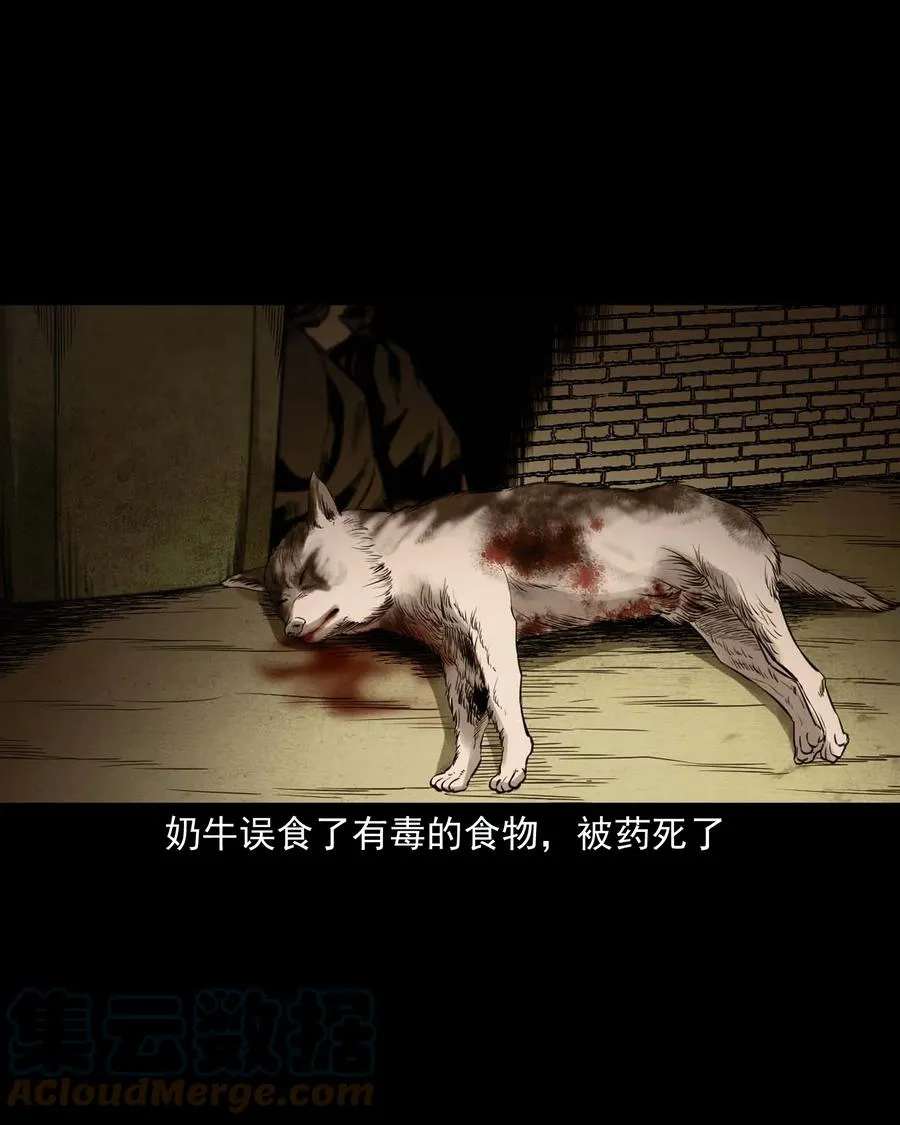 539 犬灵 第37页