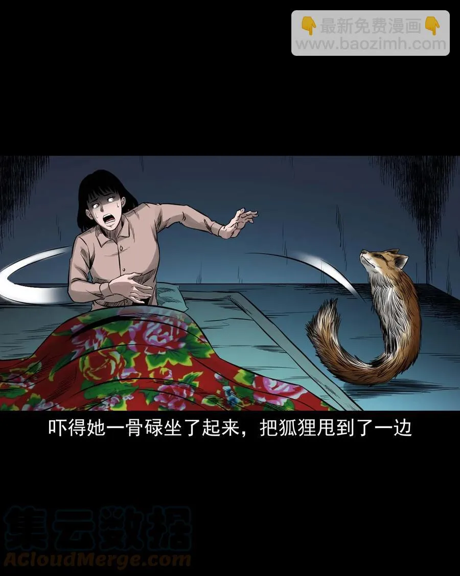 545 狐狸围脖 第43页