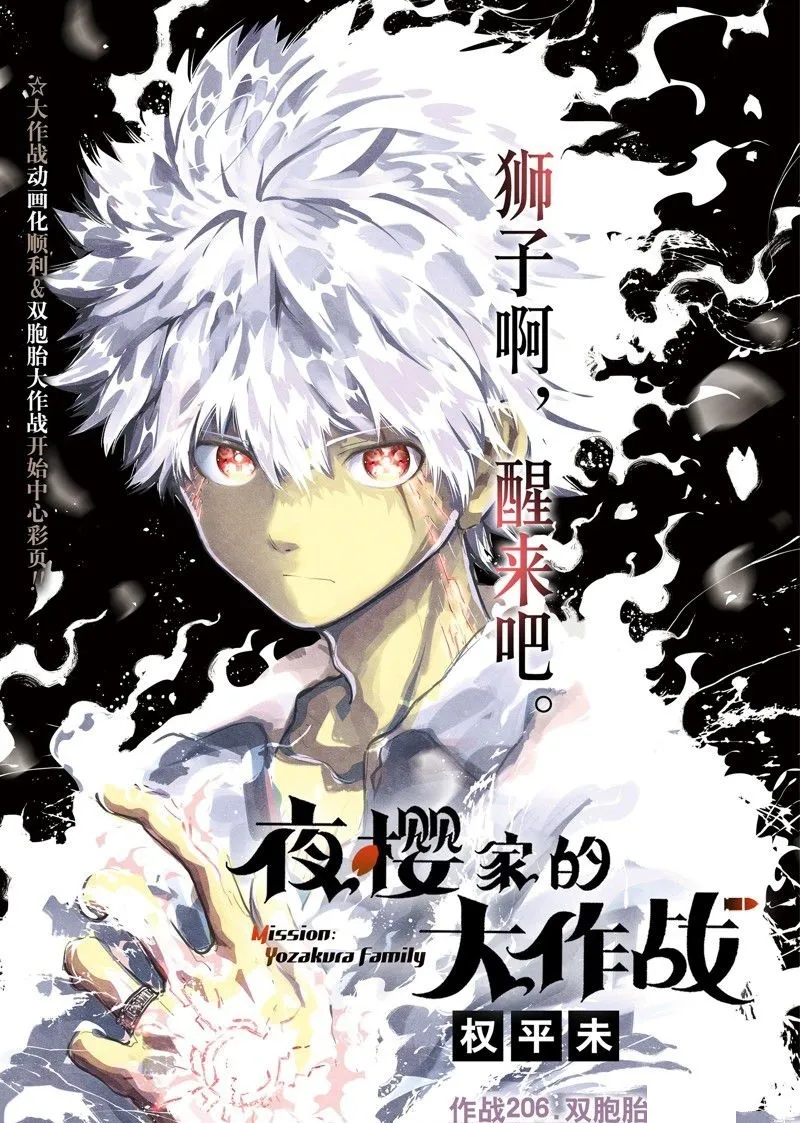 205 第20页