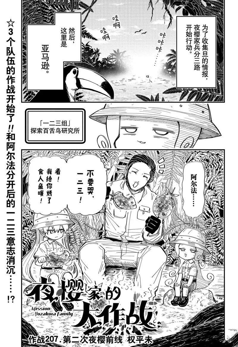 207 第1页