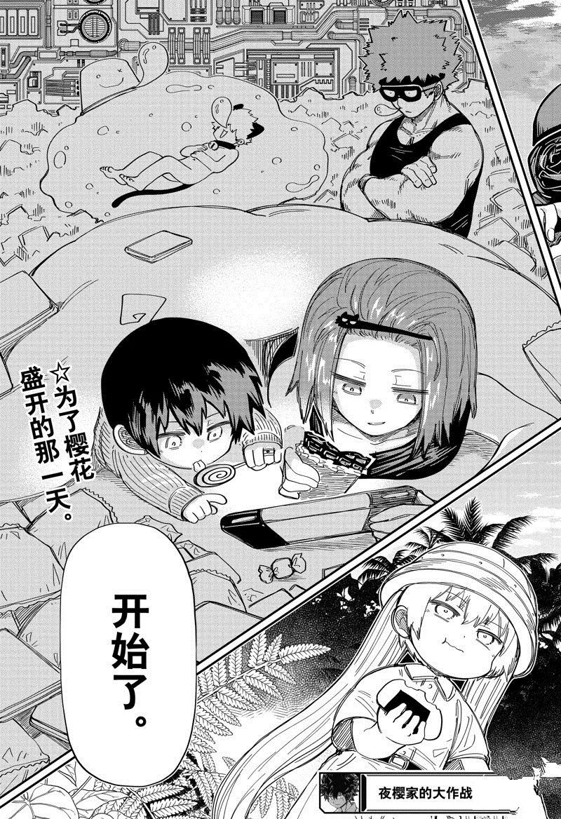 207 第19页