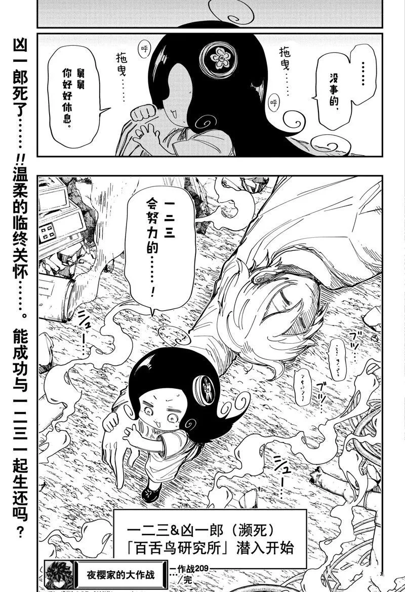 209 第19页