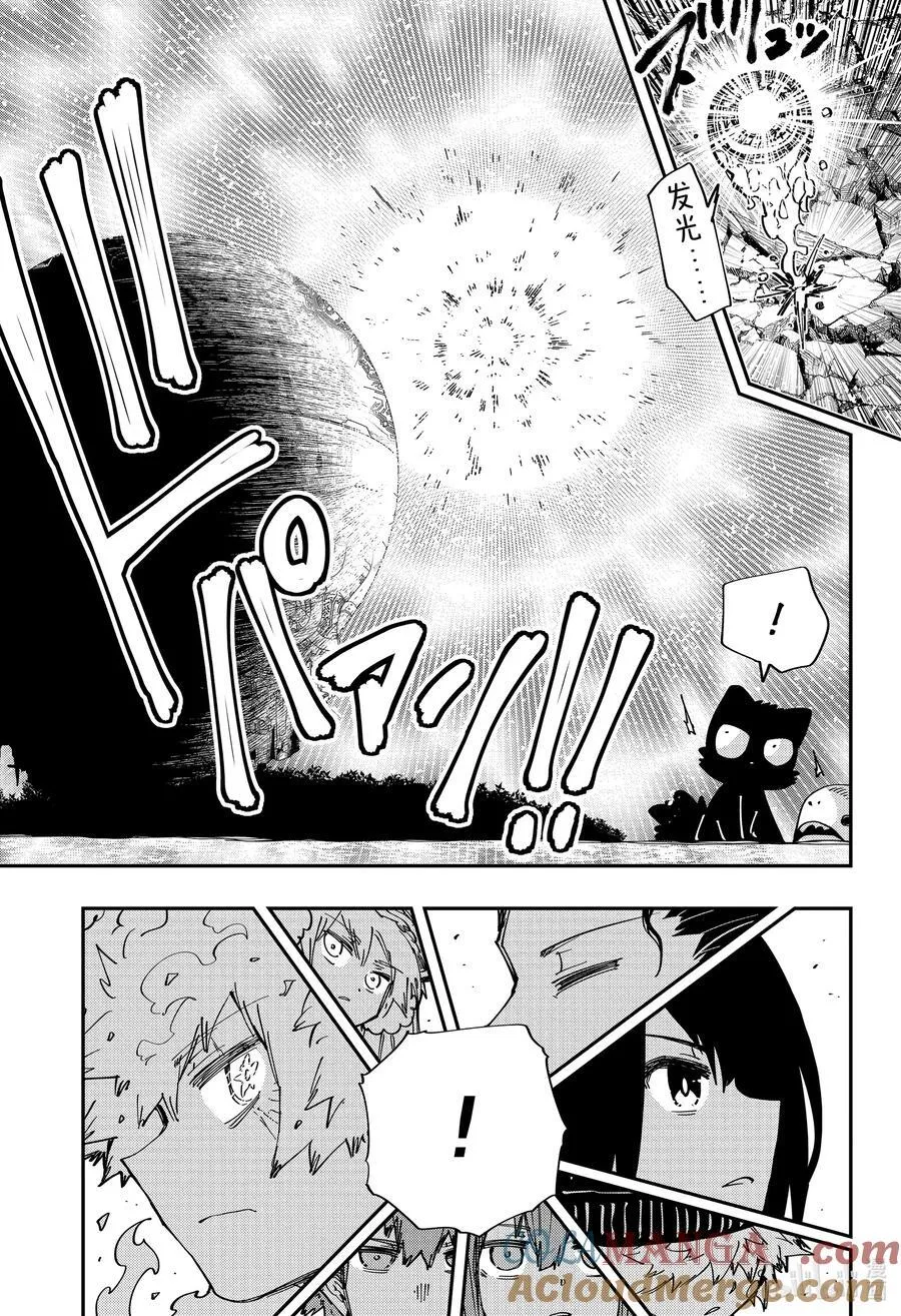 242 退化 第13页
