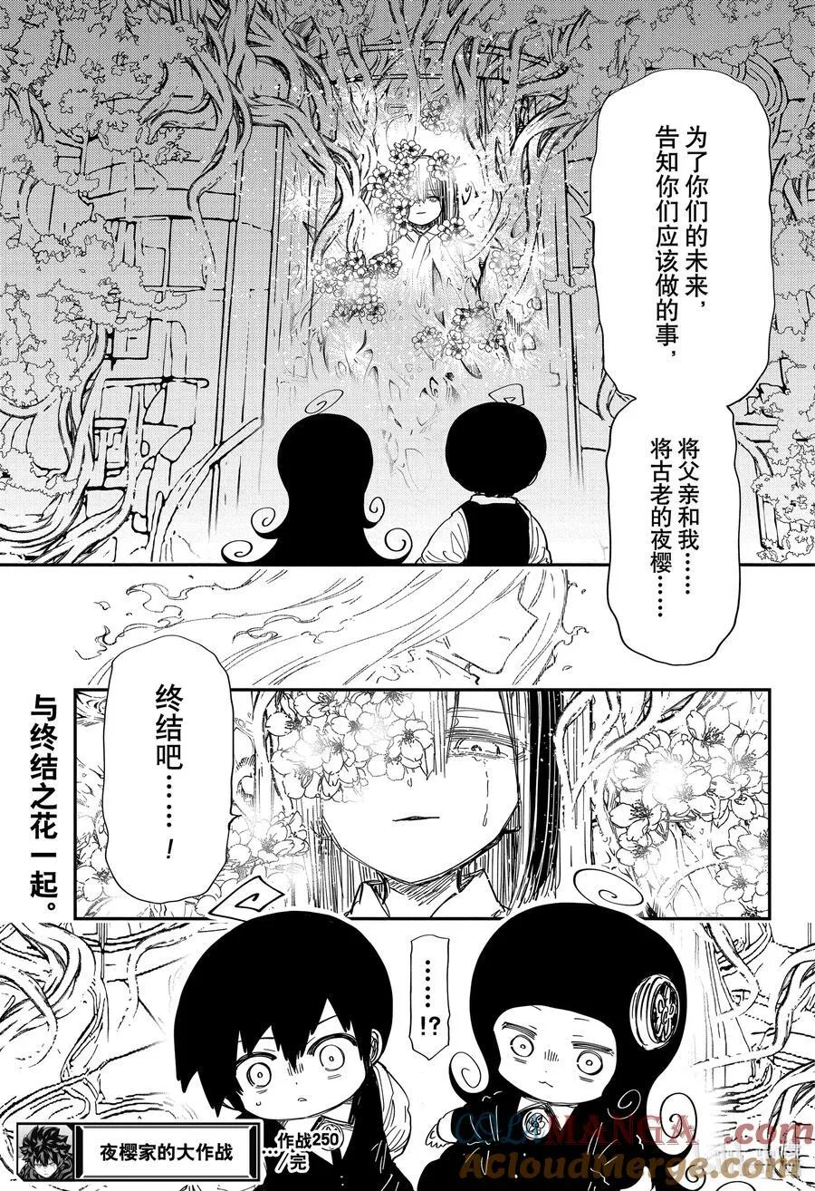 250 分割 第19页