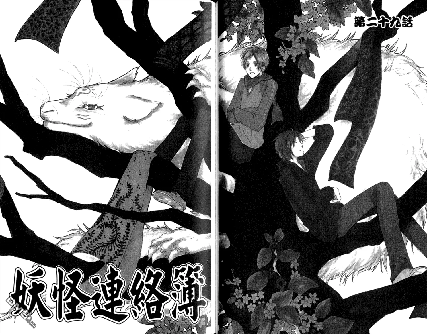 第8卷 第41页