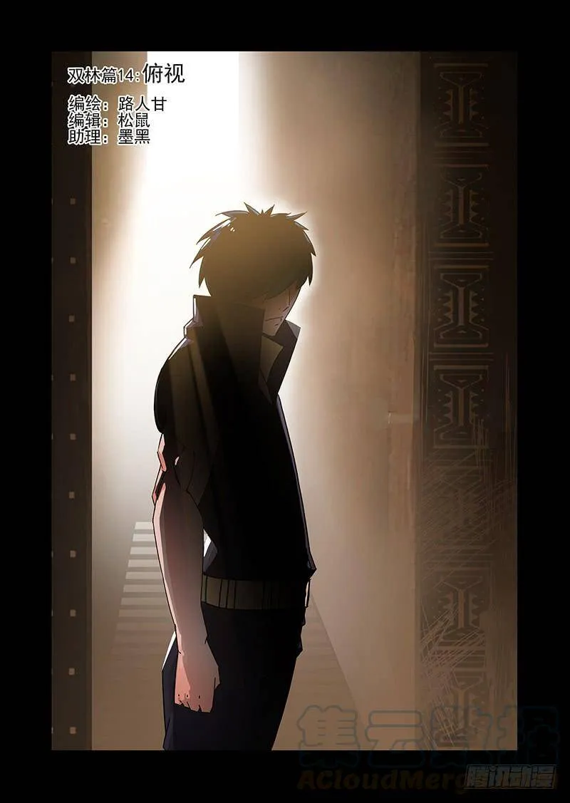 双林篇14：俯视 第1页