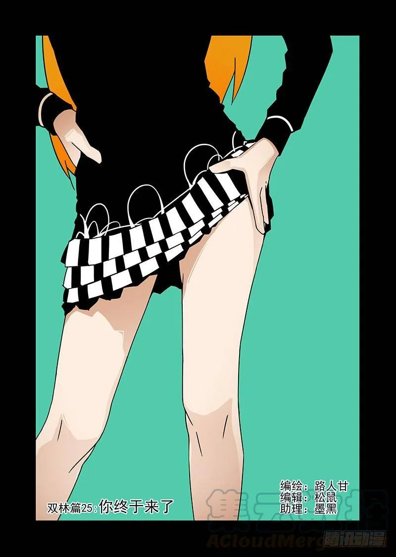 双林篇25：你终于来了 第1页