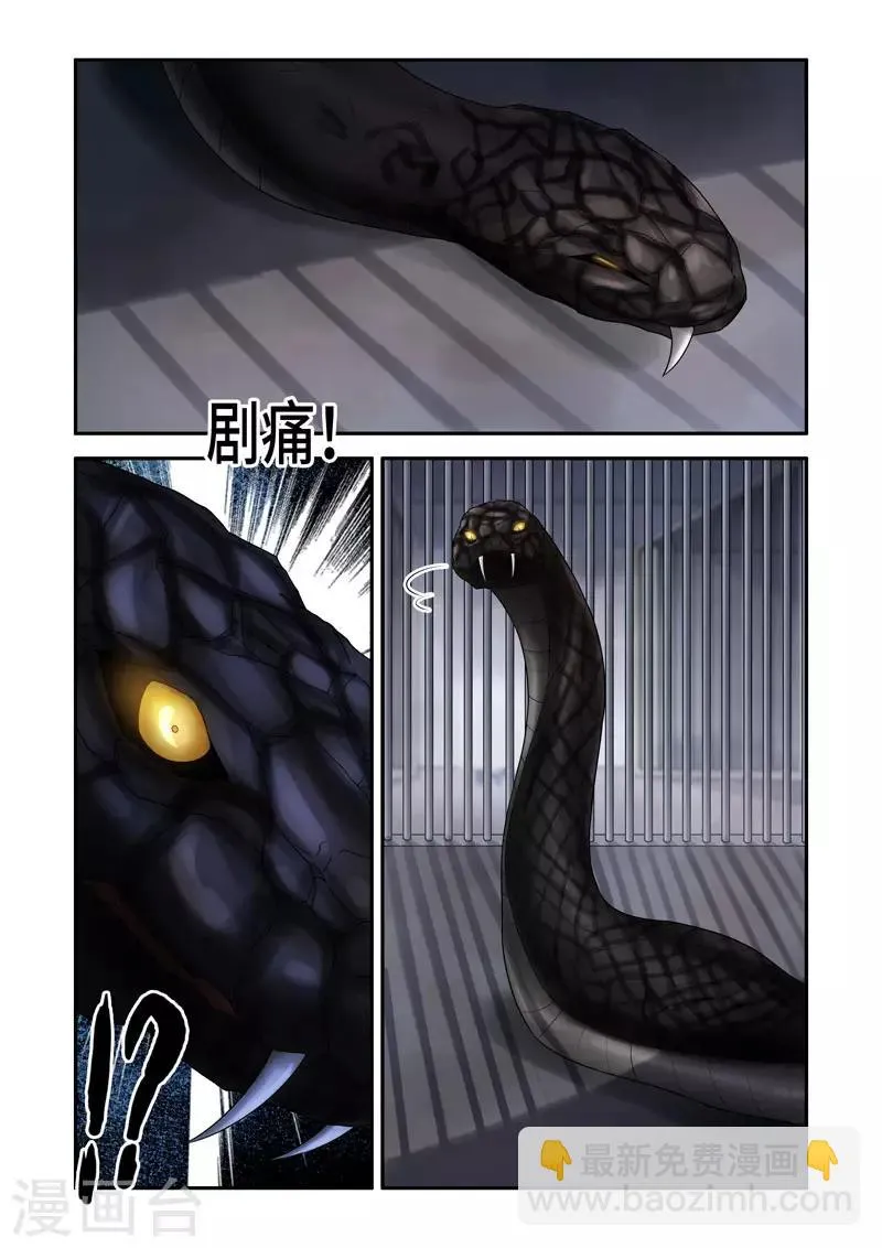 第181话 第4页