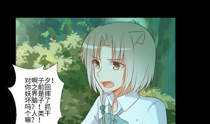 第92话 犬猫鼠的“三角恋” 第31页
