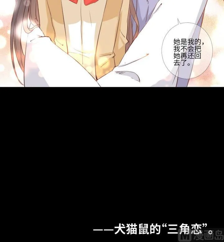 第92话 犬猫鼠的“三角恋” 第39页