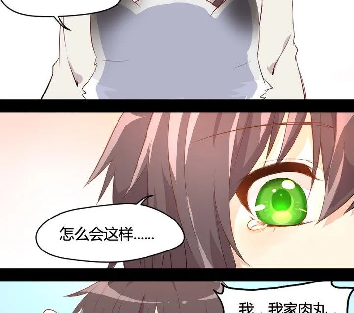 第2话 肉丸说话 了？！ 第16页