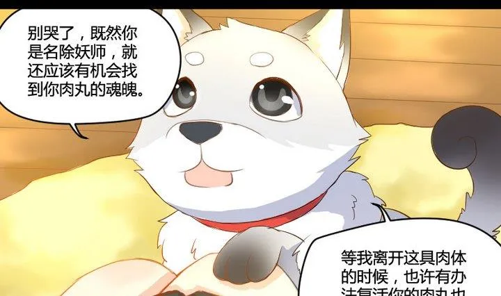 第2话 肉丸说话 了？！ 第19页