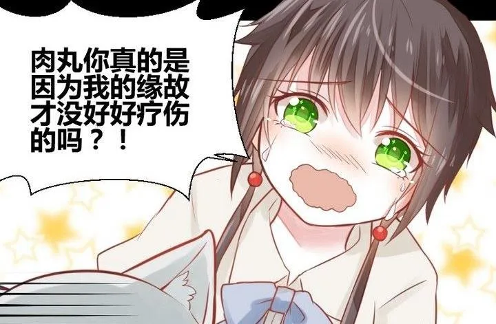 第29话 心疼肉丸！ 第50页