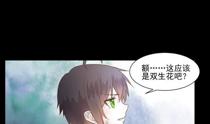 第38话 双生妖花 第43页