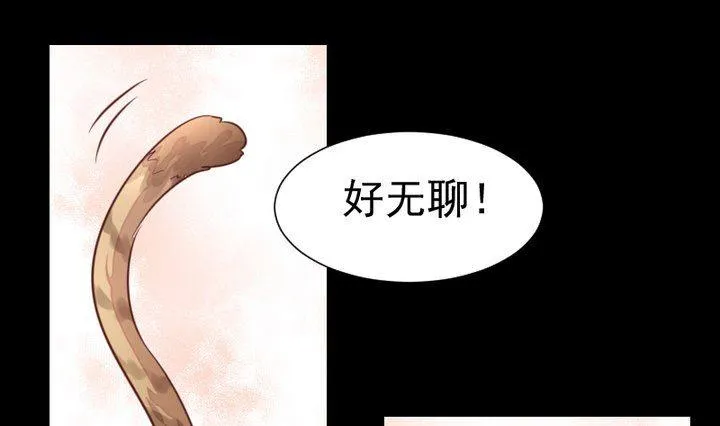 第44话 猫妖 第1页