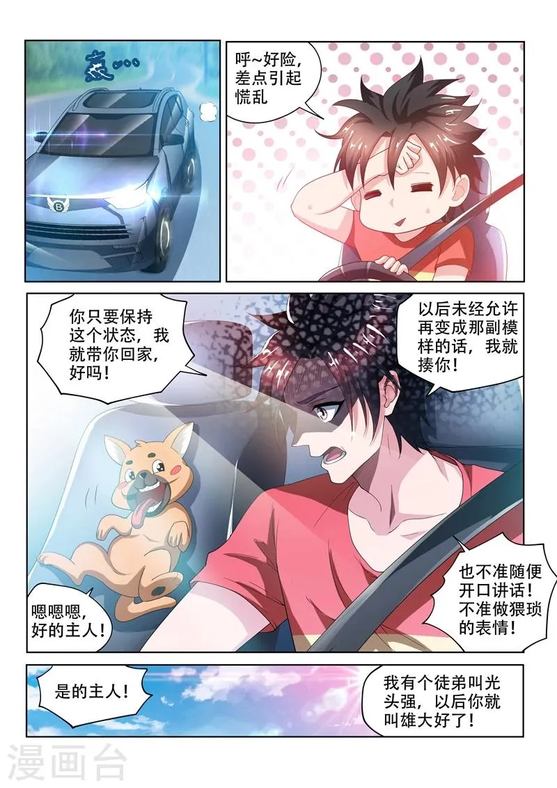 第70话 我的狗价值500万 第1页