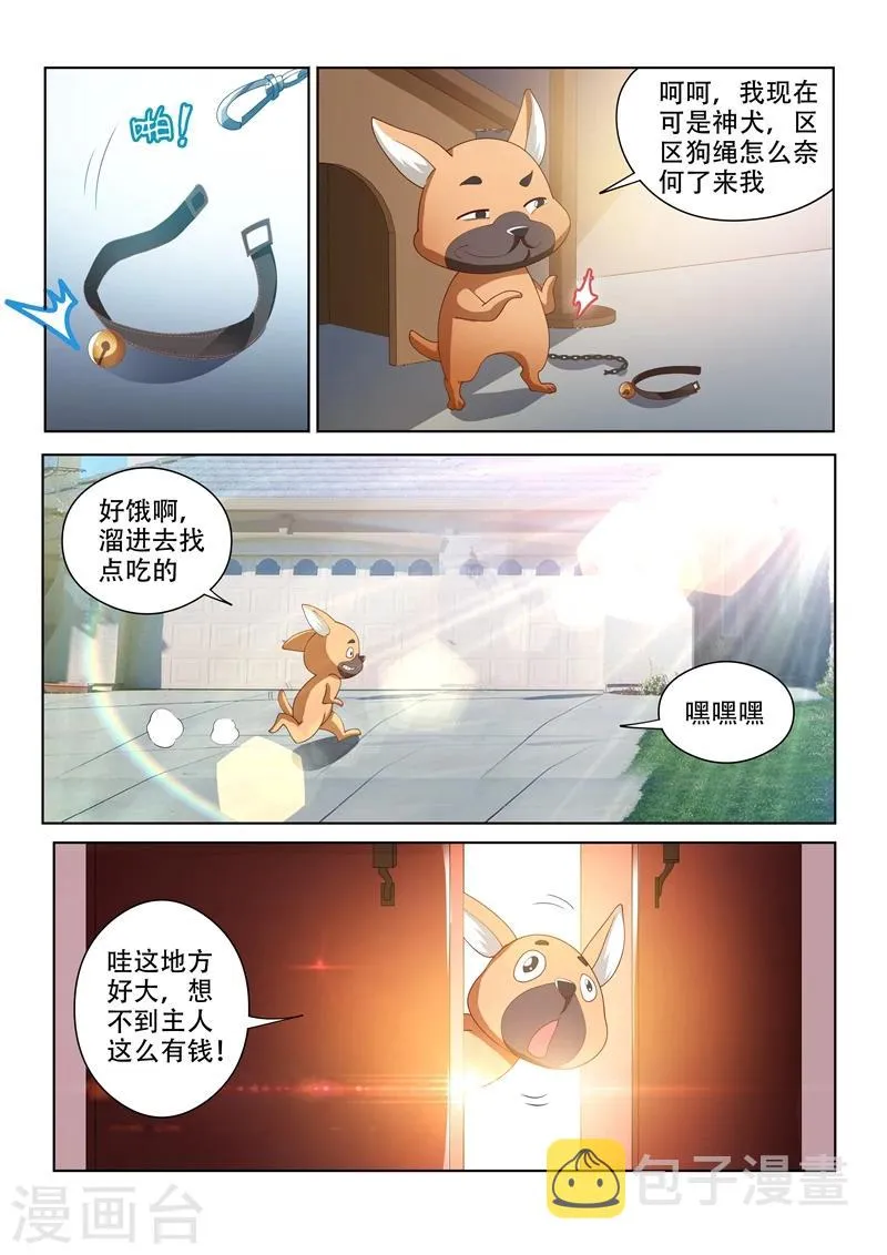 第70话 我的狗价值500万 第3页