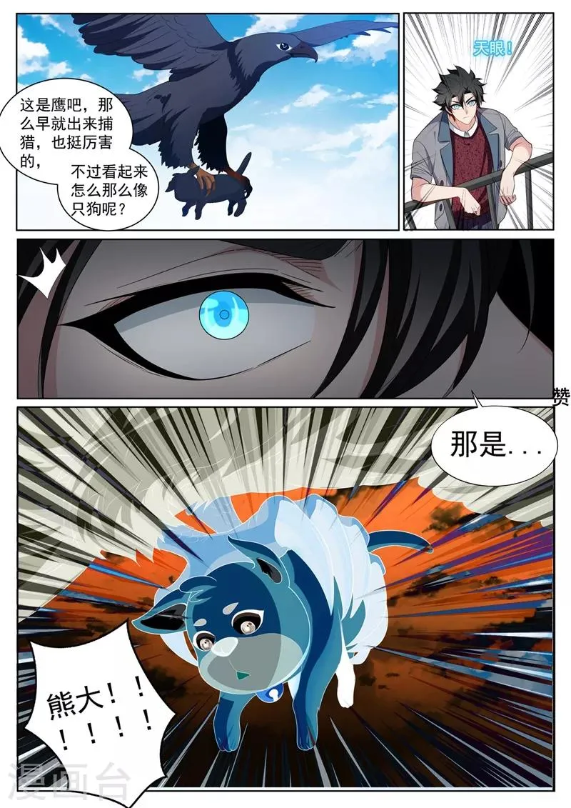 第223话 出发！收集灵兽！ 第10页