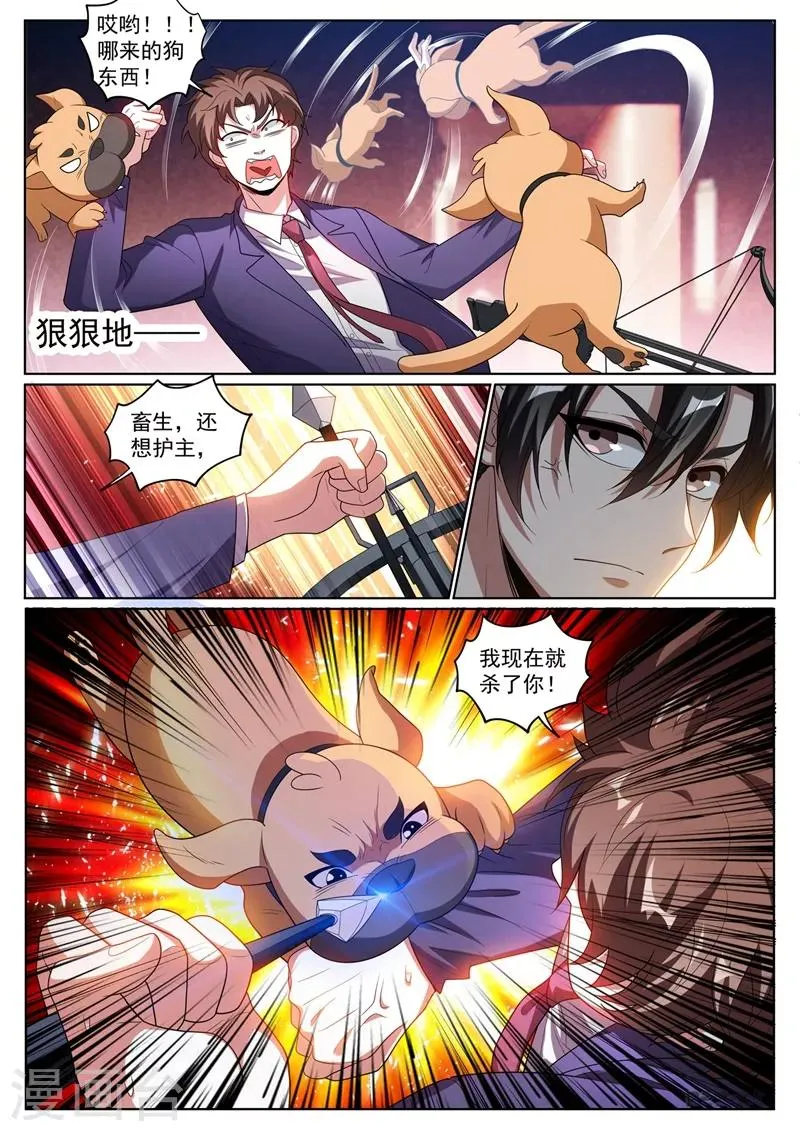 第245话 舍身为馨月挡箭 第10页